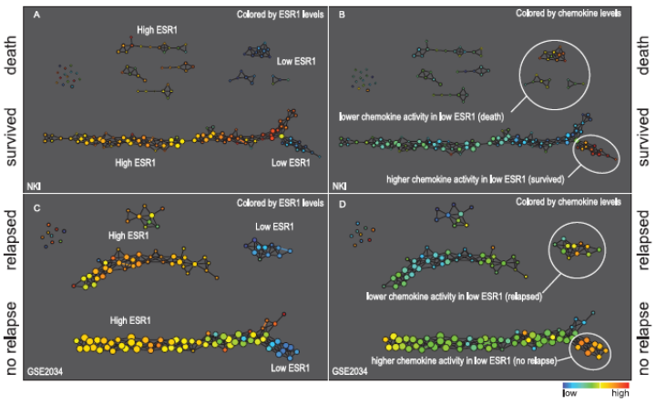 credits: https://geometrica.saclay.inria.fr/team/Marc.Glisse/enseignement/cargese2022/class2.pdf